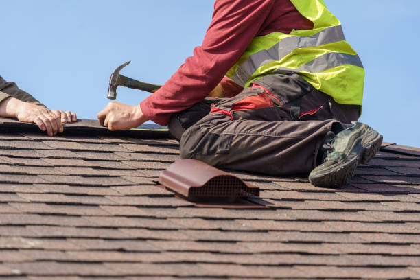 Best Local Roofing Companies  in Laurel, DE